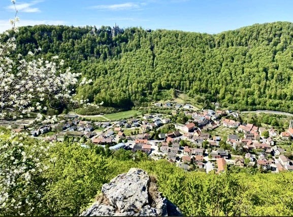 Honau